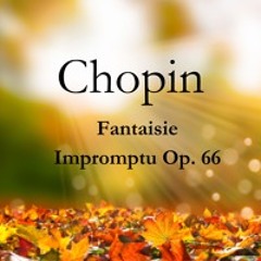 Chopin - Fantaisie - Impromptu In C - Sharp Minor, Op. 66 No. 4