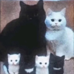 King of Rare Freestyle