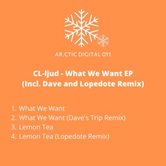 What We Want (Dave's Trip Remix)