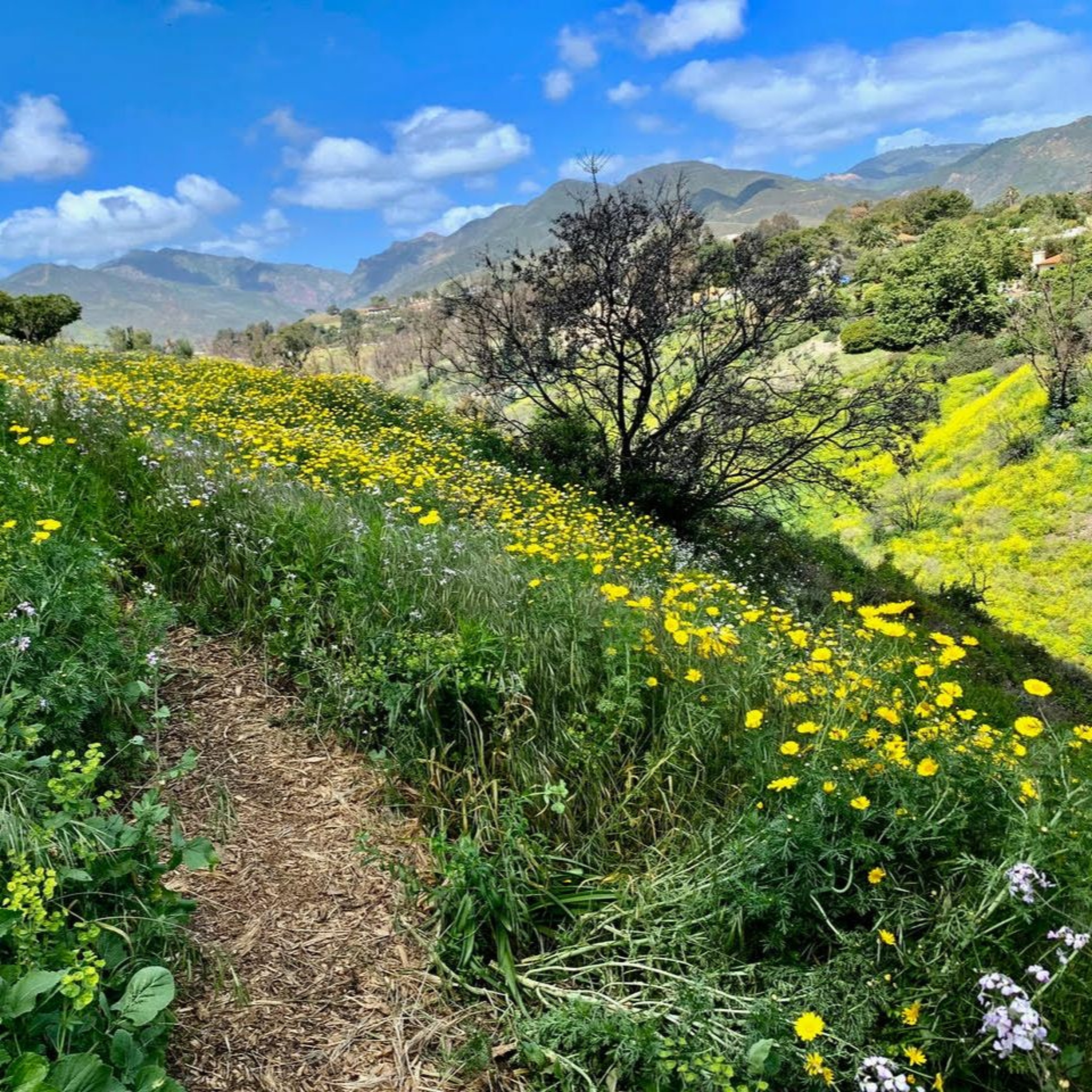 EcoJustice Radio