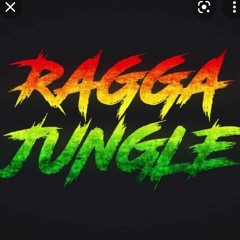 Ragga Jungle .mp3