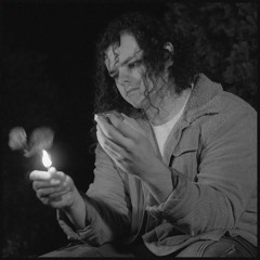 The Forest for the Trees Instrumental