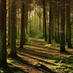 AllOverAgain ft.T Lonely / Ft.Aura