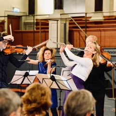 Vivaldi Flute Concerto 'La Notte' Finale