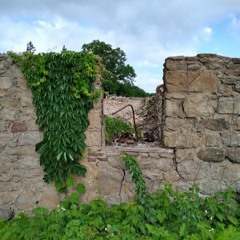 Lose Me [ft. Courtney Anne McNally]