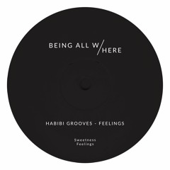 PREMIERE: Habibi Grooves - Feelings [Being All Here]