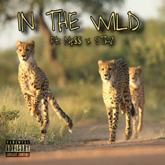 IN THE WILD - Ft. Nę$$ x STRØ - [Prod. Rxkz] (Official Audio)