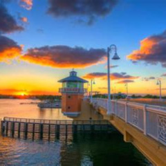 Best Things To Do In Lantana Florida Tours Reviews