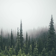 Ain'ters gonna Ain't