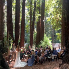 Live Set - House NuDisco Dance - Raichart/Beach Wedding - Waterfall Lodge - 10.2.2023
