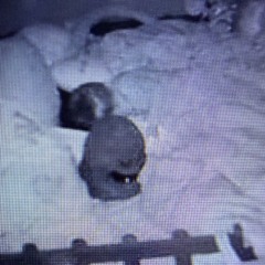 BALATANTLY {prod.bykyy}