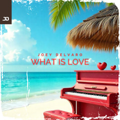 Joey Delvaro - What Is Love