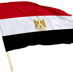Egypt 2015 type 06.01.25