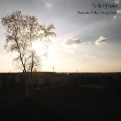 Fields Of Gold (Dominic Miller / Sting Cover)