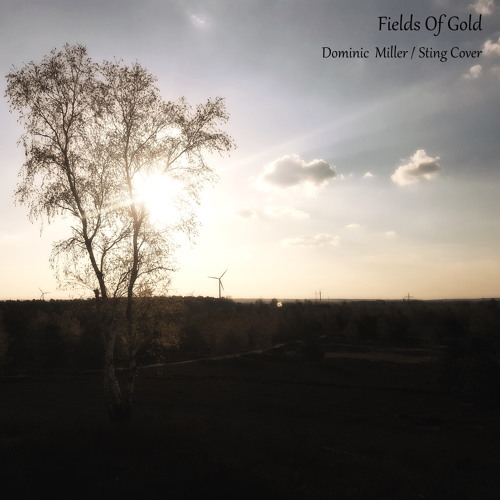 Fields Of Gold (Dominic Miller / Sting Cover)
