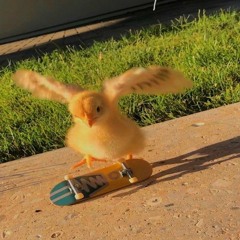 lieu - Againsthefloor!