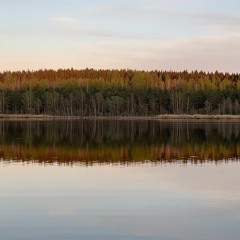 Artist, Silencio Music: Beta Versions