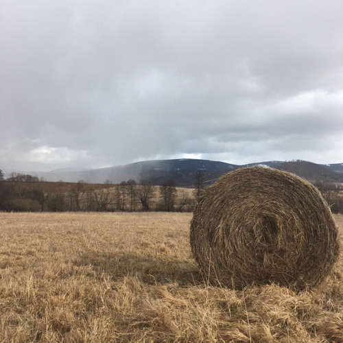 Silny wiatr, syreny i śnieg / Strong winds, sirens and snow