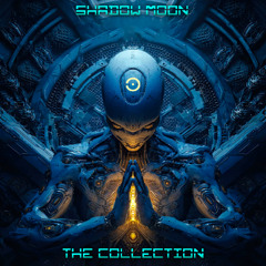 Shadow Moon & Heisenberg - Destiny Call (Original MiX)
