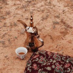 سرا البارحة يا حسين ليلٍ علي ما عاد .