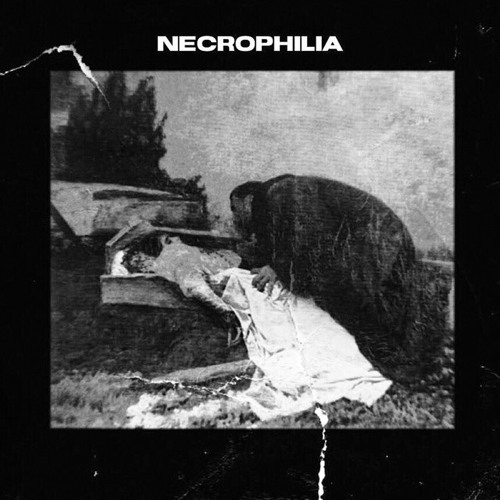 Stream episode Taboo Talk #5: Necrophilia by Taboo Talk podcast ...