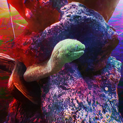 once i learn to mix its over