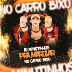 10 MINUTINHOS PRA MAROLAR NO CARRO BIXO