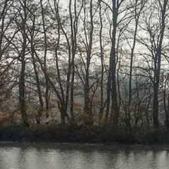 Part of Three