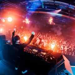 SNAKEPIT 2025 - Cobra - Revealer pres. THE ANGER IN US