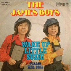 The James Boys - Please Mrs. Bell