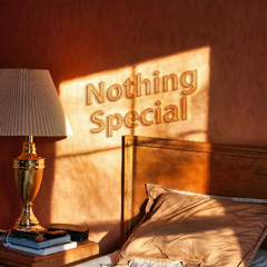 Nothing Special