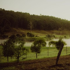 Trade Wind - Cut (cover by Jordan King)