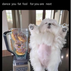 Music that i would listen 10 times a day