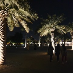 ما رضيناها ليك _ محمد الطيب waddo