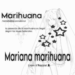 mariana marihuana ft. razziel