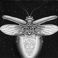 cozy vibez ⊹₊⟡⋆