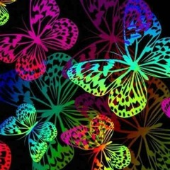 Katie : Butterflies [movie in my head] * original knock mix *