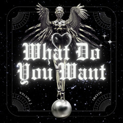[FREE DL] WHAT DO YOU WANT - TØXXIN
