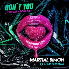 Don't You (Forget About Me)(feat Chris Ferrara)