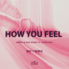 ANOTR & Erik Band ft. Leven Kali - How You Feel (Roy J Remix)