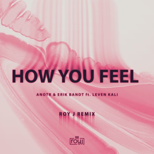 ANOTR & Erik Band ft. Leven Kali - How You Feel (Roy J Remix)