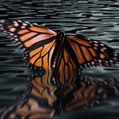 Respiration
