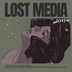 LostMedia 2017