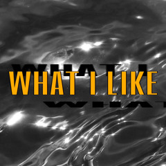 What I Like_vol.1