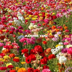 ADORE YOU