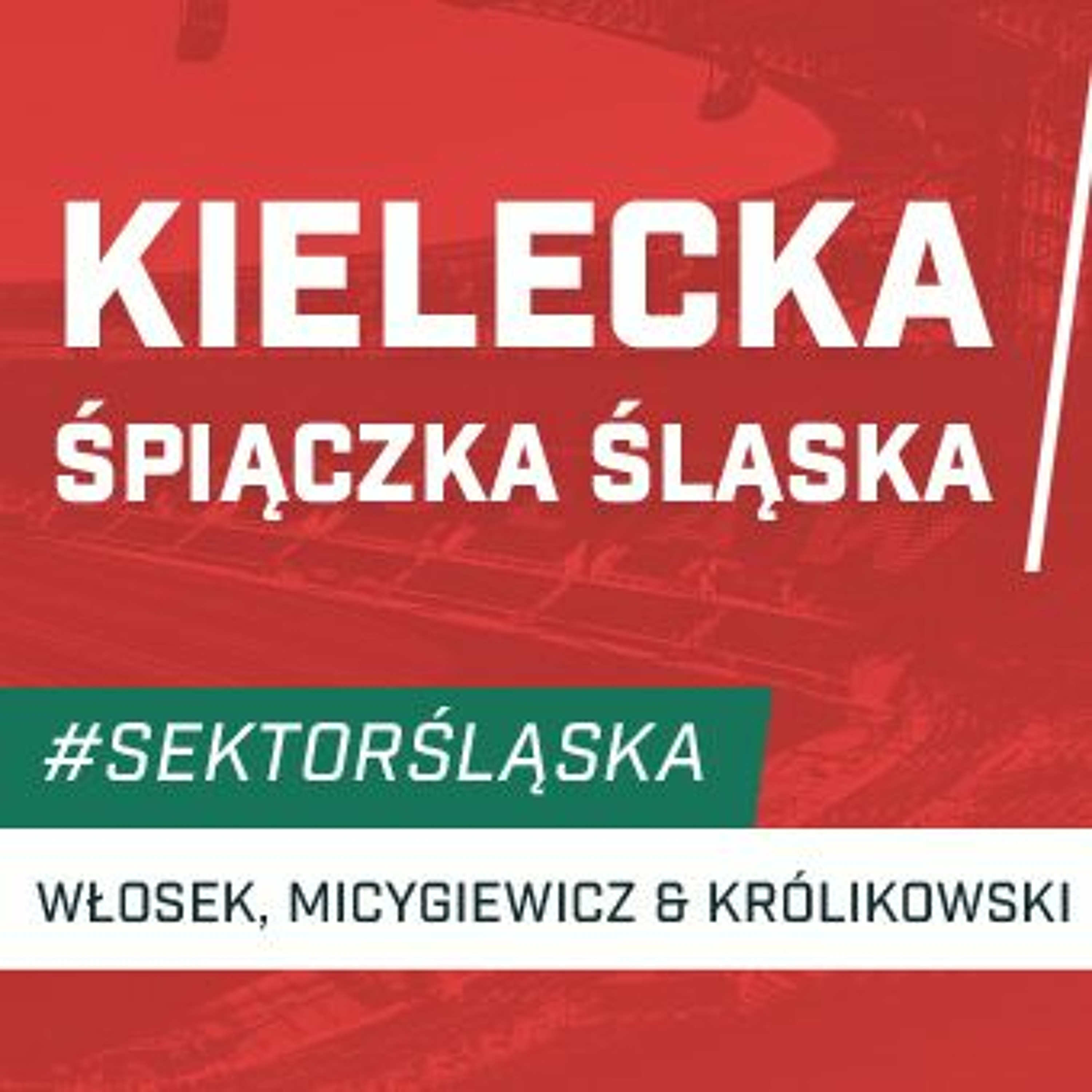 Śląsknet