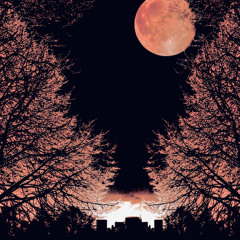 Help Me Over The Moon