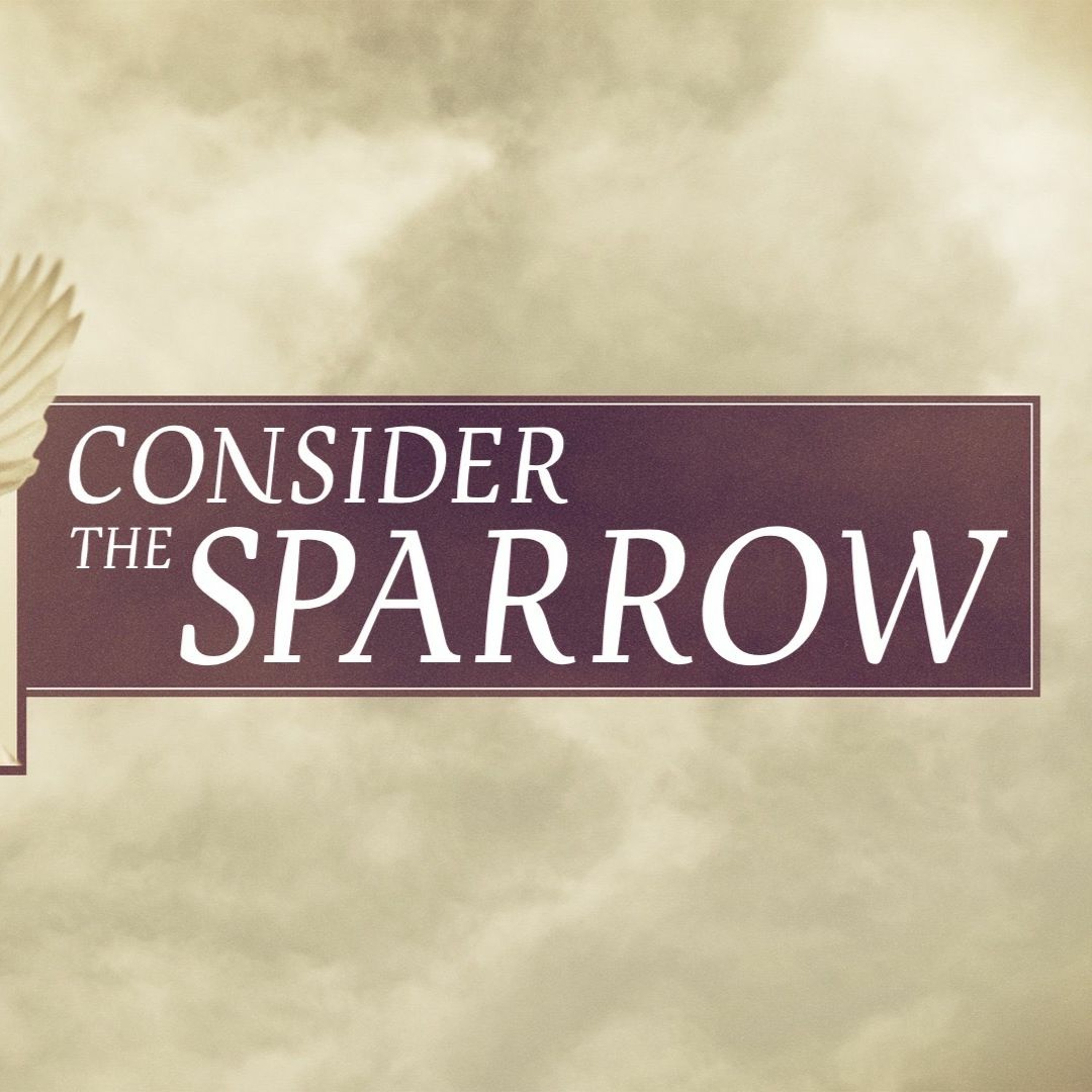Consider The Sparrow episode artwork