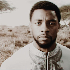 All Of You Are Wrong - Black Panther