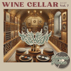 raidxn - wine cellar #007